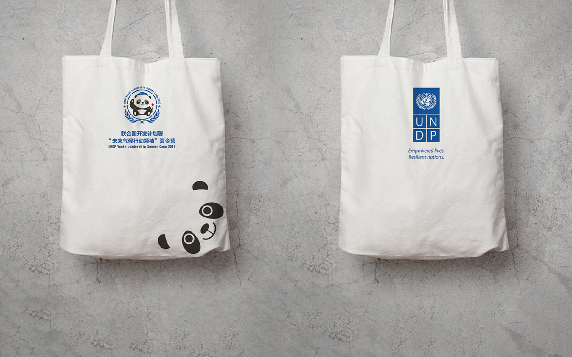 联合国开发计划署熊猫夏令营VI-手袋